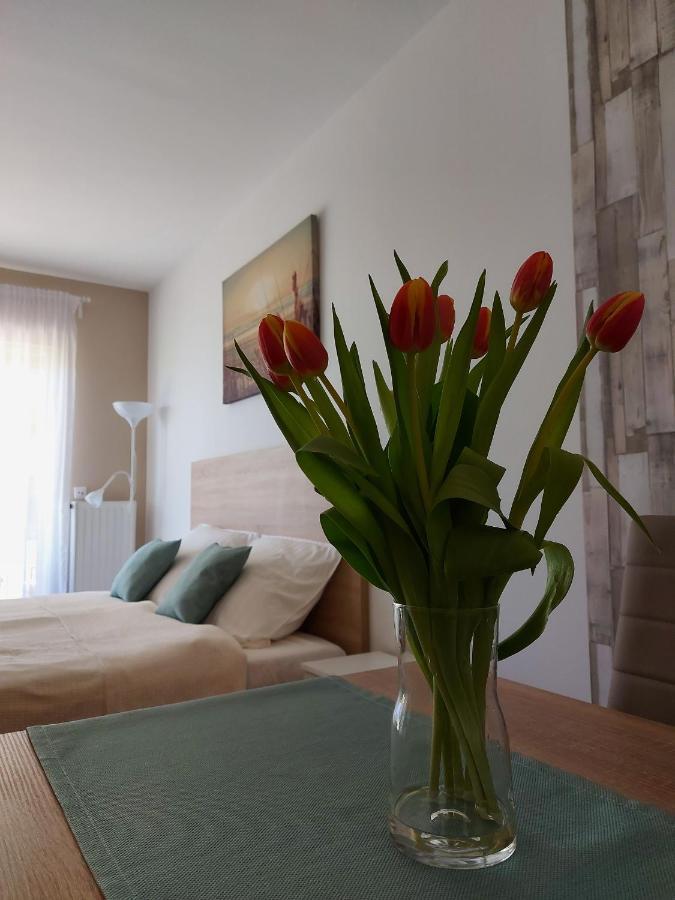 Bike & Spa Velence Apartman المظهر الخارجي الصورة